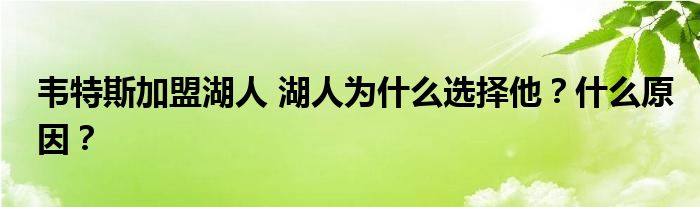 韦特斯加盟湖人 湖人为什么选择他?什么原因?