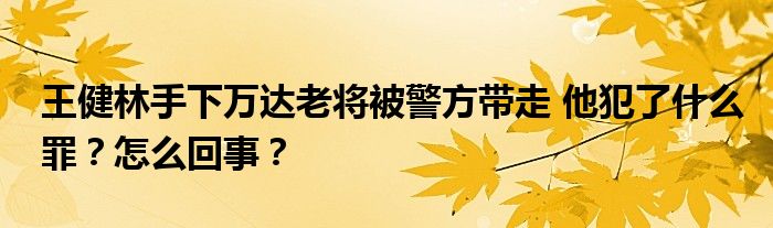 王健林手下万达老将被警方带走 他犯了什么罪？怎么回事？