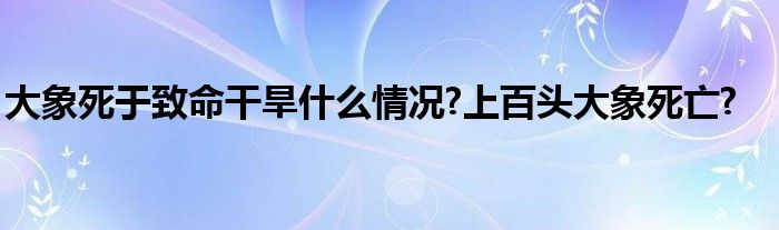 大象死于致命干旱什么情况?上百头大象死亡?