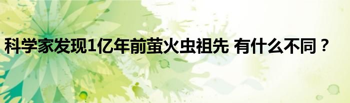 科学家发现1亿年前萤火虫祖先 有什么不同？