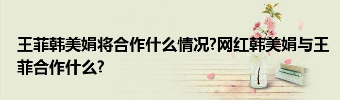 王菲韩美娟将合作什么情况?网红韩美娟与王菲合作什么?