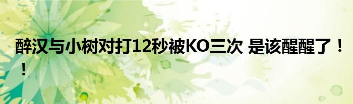 醉汉与小树对打12秒被KO三次 是该醒醒了！！