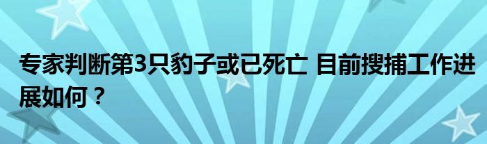 专家判断第3只豹子或已死亡 目前搜捕工作进展如何?