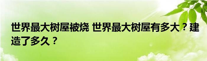 世界最大树屋被烧 世界最大树屋有多大?建造了多久?