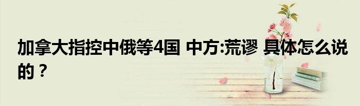 加拿大指控中俄等4国 中方:荒谬 具体怎么说的?
