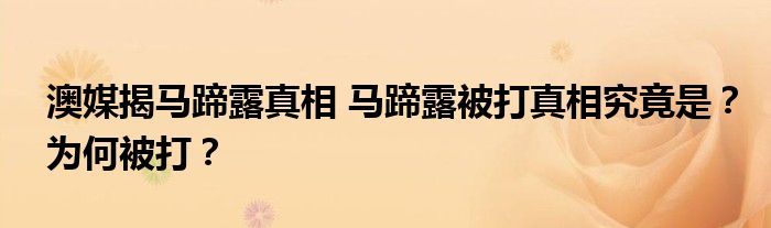 澳媒揭马蹄露真相 马蹄露被打真相究竟是?为何被打?