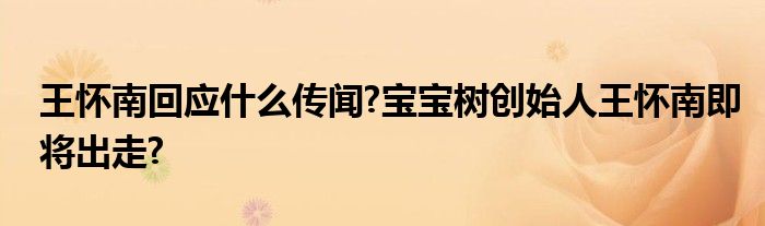 王怀南回应什么传闻?宝宝树创始人王怀南即将出走?