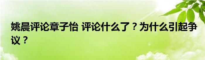 姚晨评论章子怡 评论什么了？为什么引起争议？
