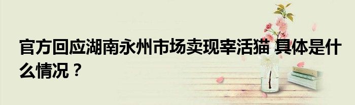 官方回应湖南永州市场卖现宰活猫 具体是什么情况?