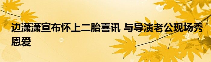 边潇潇宣布怀上二胎喜讯 与导演老公现场秀恩爱