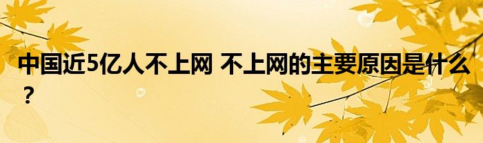 中国近5亿人不上网 不上网的主要原因是什么?