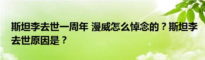 斯坦李去世一周年 漫威怎么悼念的?斯坦李去世原因是?