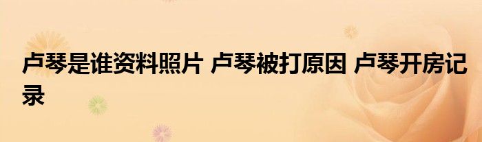 卢琴是谁资料照片 卢琴被打原因 卢琴开房记录