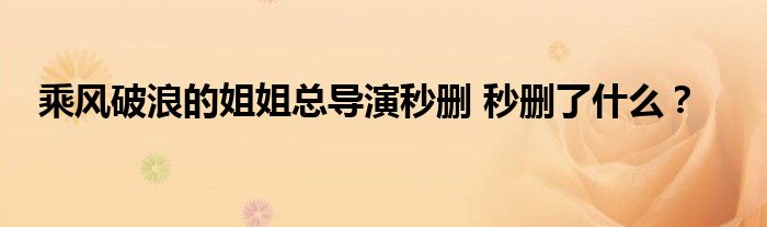 乘风破浪的姐姐总导演秒删 秒删了什么？