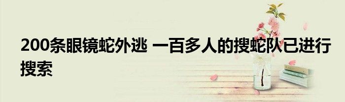 200条眼镜蛇外逃 一百多人的搜蛇队已进行搜索