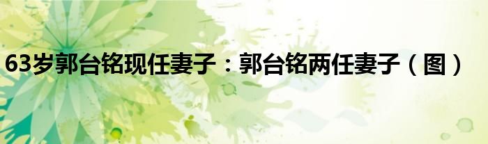 63岁郭台铭现任妻子:郭台铭两任妻子(图)