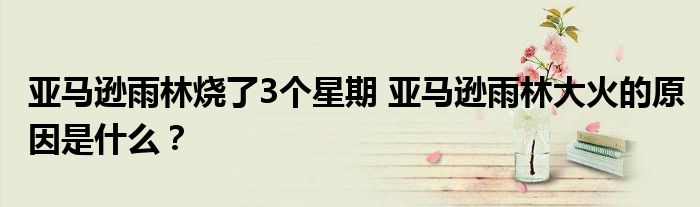 亚马逊雨林烧了3个星期 亚马逊雨林大火的原因是什么?