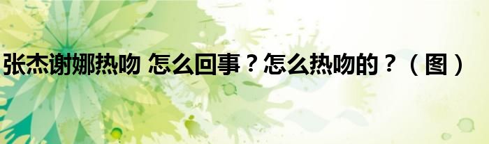 张杰谢娜热吻 怎么回事?怎么热吻的?(图)