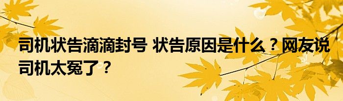 司机状告滴滴封号 状告原因是什么?网友说司机太冤了?