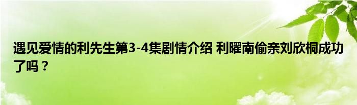 遇见爱情的利先生第3-4集剧情介绍 利曜南偷亲刘欣桐成功了吗?