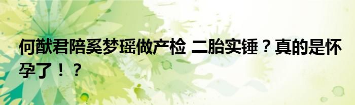 何猷君陪奚梦瑶做产检 二胎实锤?真的是怀孕了!?