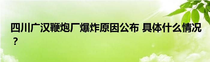 四川广汉鞭炮厂爆炸原因公布 具体什么情况?