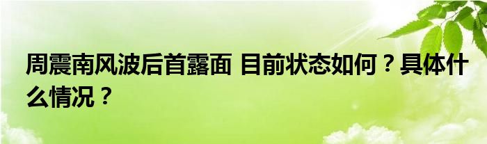 周震南风波后首露面 目前状态如何?具体什么情况?