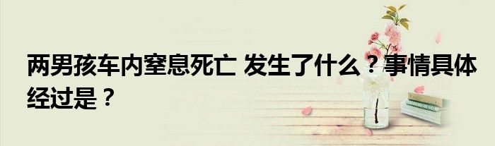 两男孩车内窒息死亡 发生了什么?事情具体经过是?