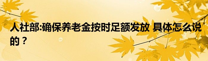 人社部:确保养老金按时足额发放 具体怎么说的?