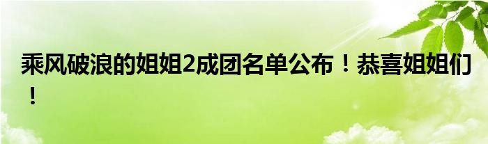 乘风破浪的姐姐2成团名单公布!恭喜姐姐们!