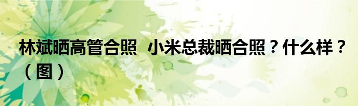 林斌晒高管合照 小米总裁晒合照?什么样?(图)