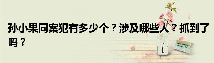 孙小果同案犯有多少个?涉及哪些人?抓到了吗?