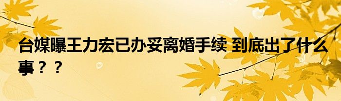 台媒曝王力宏已办妥离婚手续 到底出了什么事??