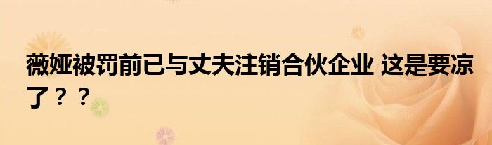 薇娅被罚前已与丈夫注销合伙企业 这是要凉了??