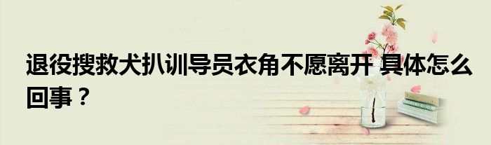 退役搜救犬扒训导员衣角不愿离开 具体怎么回事?