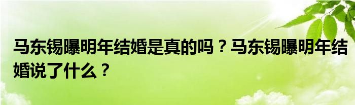 马东锡曝明年结婚是真的吗？马东锡曝明年结婚说了什么？