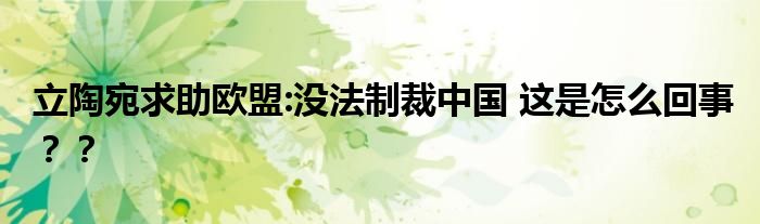 立陶宛求助欧盟:没法制裁中国 这是怎么回事??