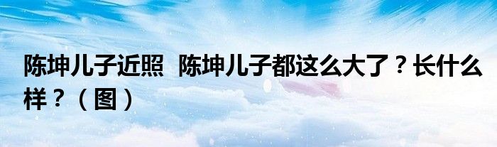 陈坤儿子近照 陈坤儿子都这么大了?长什么样?(图)