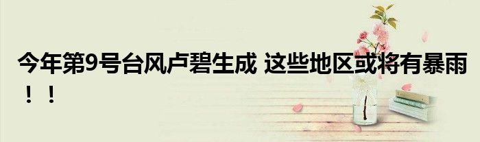 今年第9号台风卢碧生成 这些地区或将有暴雨!!