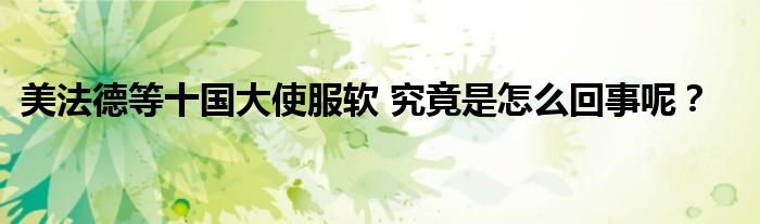 美法德等十国大使服软 究竟是怎么回事呢?