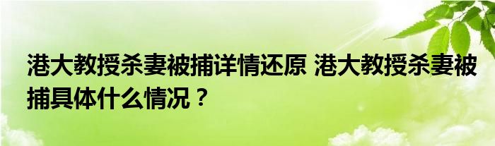 港大教授杀妻被捕详情还原 港大教授杀妻被捕具体什么情况?