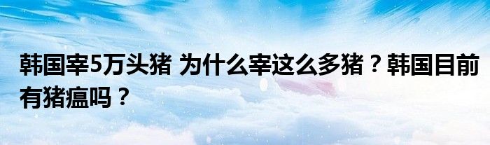 韩国宰5万头猪 为什么宰这么多猪?韩国目前有猪瘟吗?
