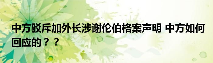 中方驳斥加外长涉谢伦伯格案声明 中方如何回应的？？