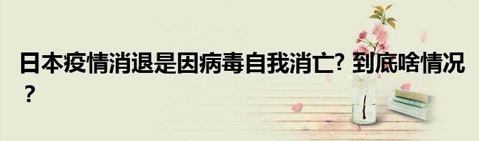 日本疫情消退是因病毒自我消亡? 到底啥情况?