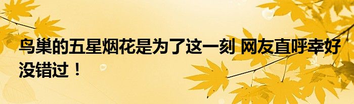 鸟巢的五星烟花是为了这一刻 网友直呼幸好没错过!