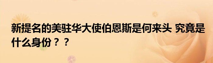 新提名的美驻华大使伯恩斯是何来头 究竟是什么身份？？