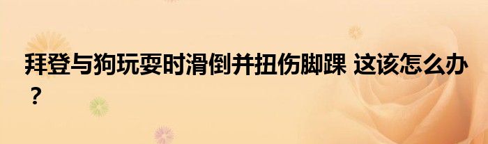 拜登与狗玩耍时滑倒并扭伤脚踝 这该怎么办?