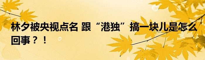 林夕被央视点名 跟“港独”搞一块儿是怎么回事？！