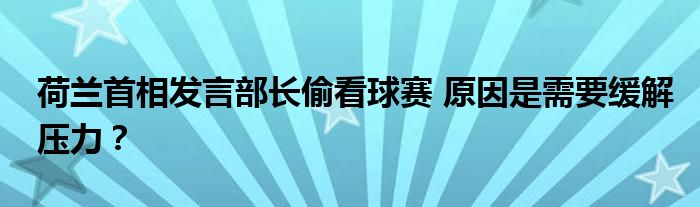 荷兰首相发言部长偷看球赛 原因是需要缓解压力?