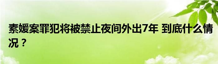 素媛案罪犯将被禁止夜间外出7年 到底什么情况?